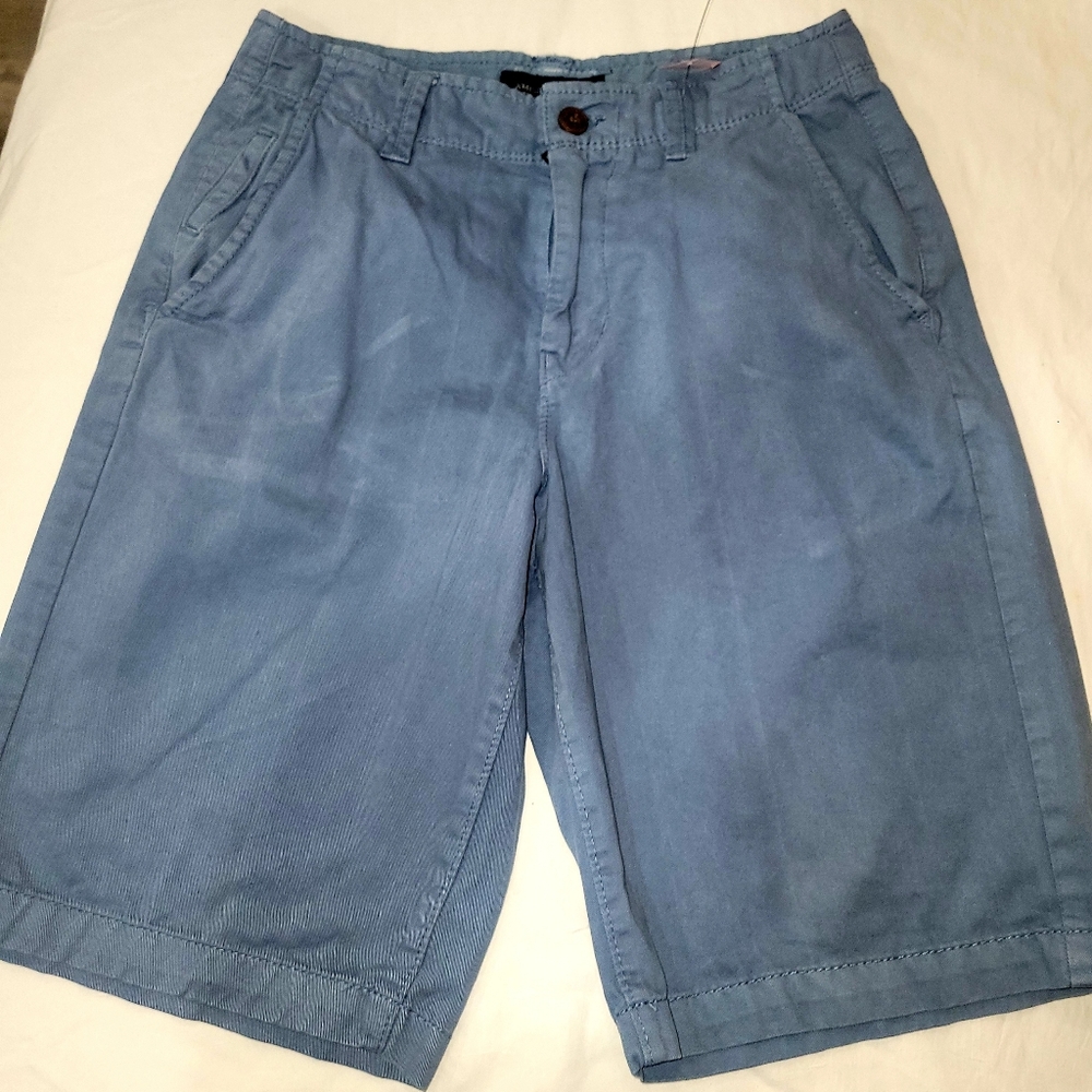 American Eagle Men's Blue Casual Shorts